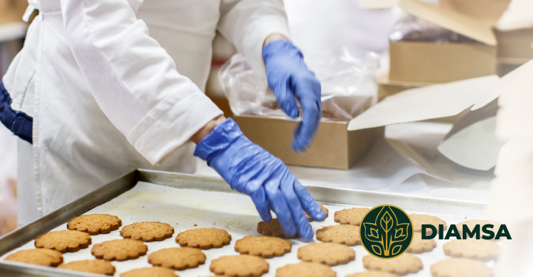 Plagas más comunes en la industria alimentaria y cómo controlarlas