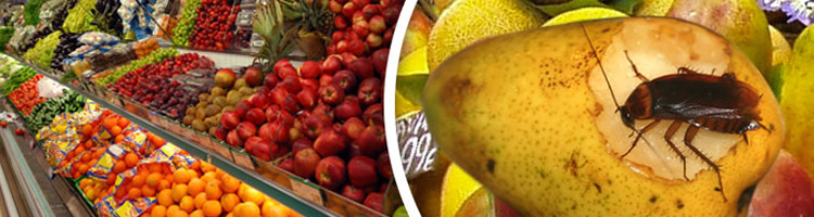 plagas alimentos
